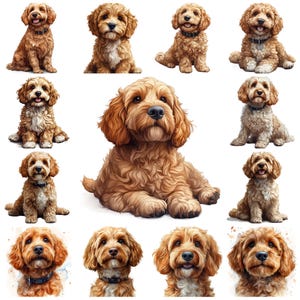 50 Golden Doodle Hunderasse Clipart PNG Bündel, flauschige Doodle Aquarell Illustration, Doodle Haustier Porträt Kartenherstellung, kommerzielle Nutzung PNGs