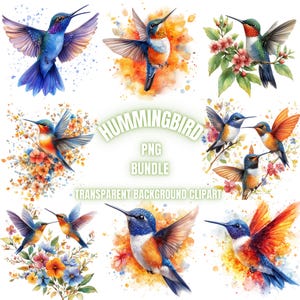 30 Hummingbird PNG Clipart Bundle, Watercolor Floral Humminbirds Landscape Sublimation, Hummingbirds Digital Paper Crafts, Commercial Use
