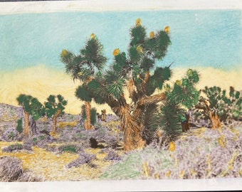 Vintage Photo, Joshua Trees, Hand Tinted, Vernacular, Original Photo, Found Photograph, Old photo, Snapshot