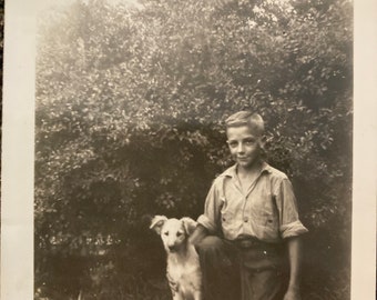 Vintage Photo, Boy & Dog, Vernacular, Photo, Original Vintage Photo, Photograph, Old Photo, Photography