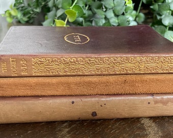 3 Antique Vintage Leather Books, 1800s-Early 1900s, Leather-bound, Decorative, Robert Louis Stevenson, Goethe, Suede, Fancy Old Books