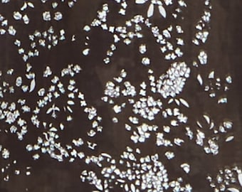 nani IRO Kokka Tecido Japonês Lei nani Gaze Dupla Orgânica - E - 50 cm
