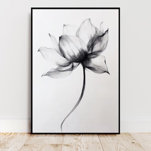 Monochrome Lotus Flower Sketch Poster