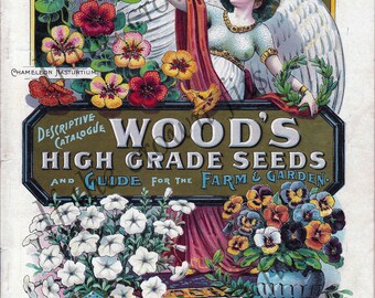 Beautiful Digital SEEDS graphic/WOODS seeds/Seeds Catalogue Cover/DIGITAL