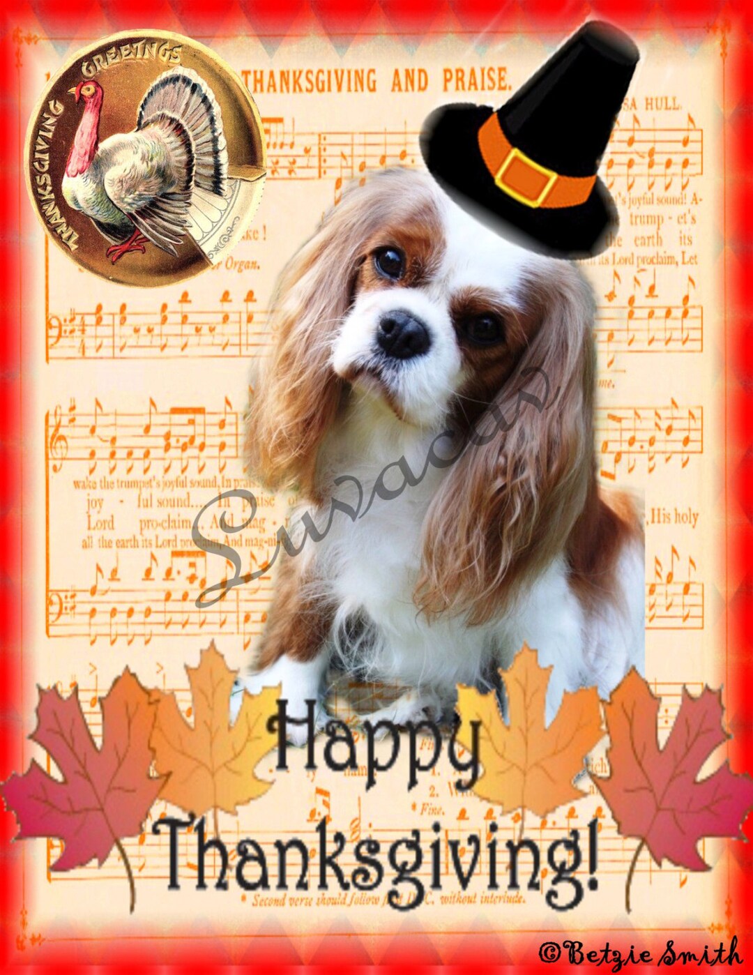 Lord cavalier best sale king charles spaniel