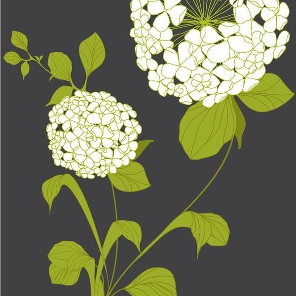 Hydrangea - 8x10 Matted Print