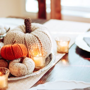 Fall Pumpkins, Pumpkin Decor, Knit Fall Decor, Autumn Decor, Fall Table, Thanksgiving Decor, Fall Aesthetic, Cozy Aesthetic image 6