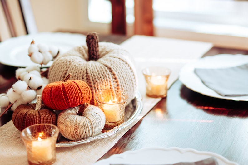 Fall Pumpkins, Pumpkin Decor, Knit Fall Decor, Autumn Decor, Fall Table, Thanksgiving Decor, Fall Aesthetic, Cozy Aesthetic image 6