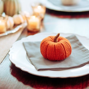 Fall Pumpkins, Pumpkin Decor, Knit Fall Decor, Autumn Decor, Fall Table, Thanksgiving Decor, Fall Aesthetic, Cozy Aesthetic image 3