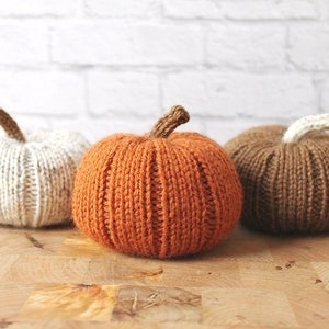 Fall Pumpkins, Pumpkin Decor, Knit Fall Decor, Autumn Decor, Fall Table, Thanksgiving Decor, Fall Aesthetic, Cozy Aesthetic image 1