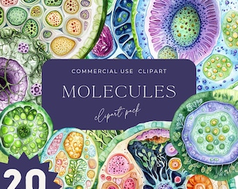 Molecular Clipart, Watercolor Science Art, Biology,Chemistry Cells, Transparent background, scientific illustration, science, cell structure