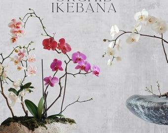 Orchid Ikebana Clipart, Flower Graphics, Watercolor Orchid Clipart, Watercolor Floral Clipart, Wedding Clipart, Ikebana Illustration