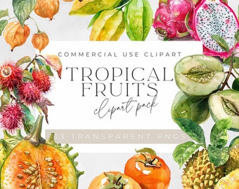 Tropical Fruit Watercolor Clipart: 33 PNG Illustrations (Digital Download)