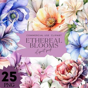 Floral elegante, flor de caule único, ilustração botânica, hibisco, ipomeia, lírio rosa, clipart da natureza, arte floral delicada