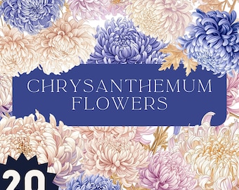 Watercolor Chrysanthemum Clipart: Spring Flower Bouquet (PNG, Digital Download)
