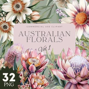 Fleur indigène australienne PNG, Clipart fleurs aquarelle, éléments floraux du désert, graphiques Aussie Bush, art botanique, usage Commercial