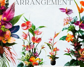 Clipart floral tropical: flores exóticas de la selva (23 archivos PNG)