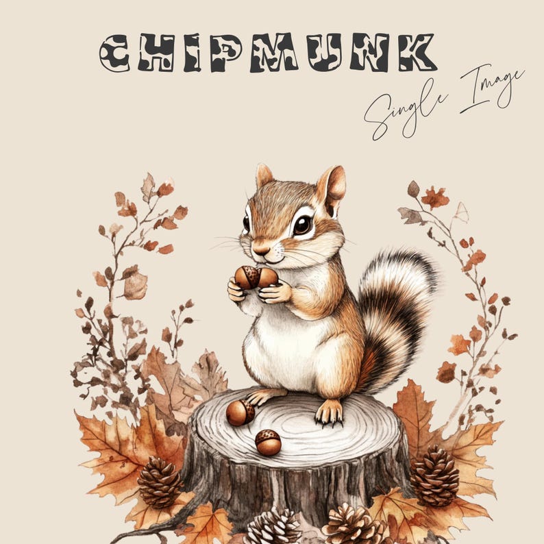 Cute Chipmunk, PNG, Single Image, Autumn Animals, Log, Acorns, Furry ...