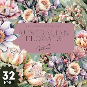 May include: Watercolor illustration of Australian native flowers in shades of pink, peach, and purple, with green foliage. The image includes text that reads "AUSTRALIAN FLORALS Vol 2" and "32 PNG".