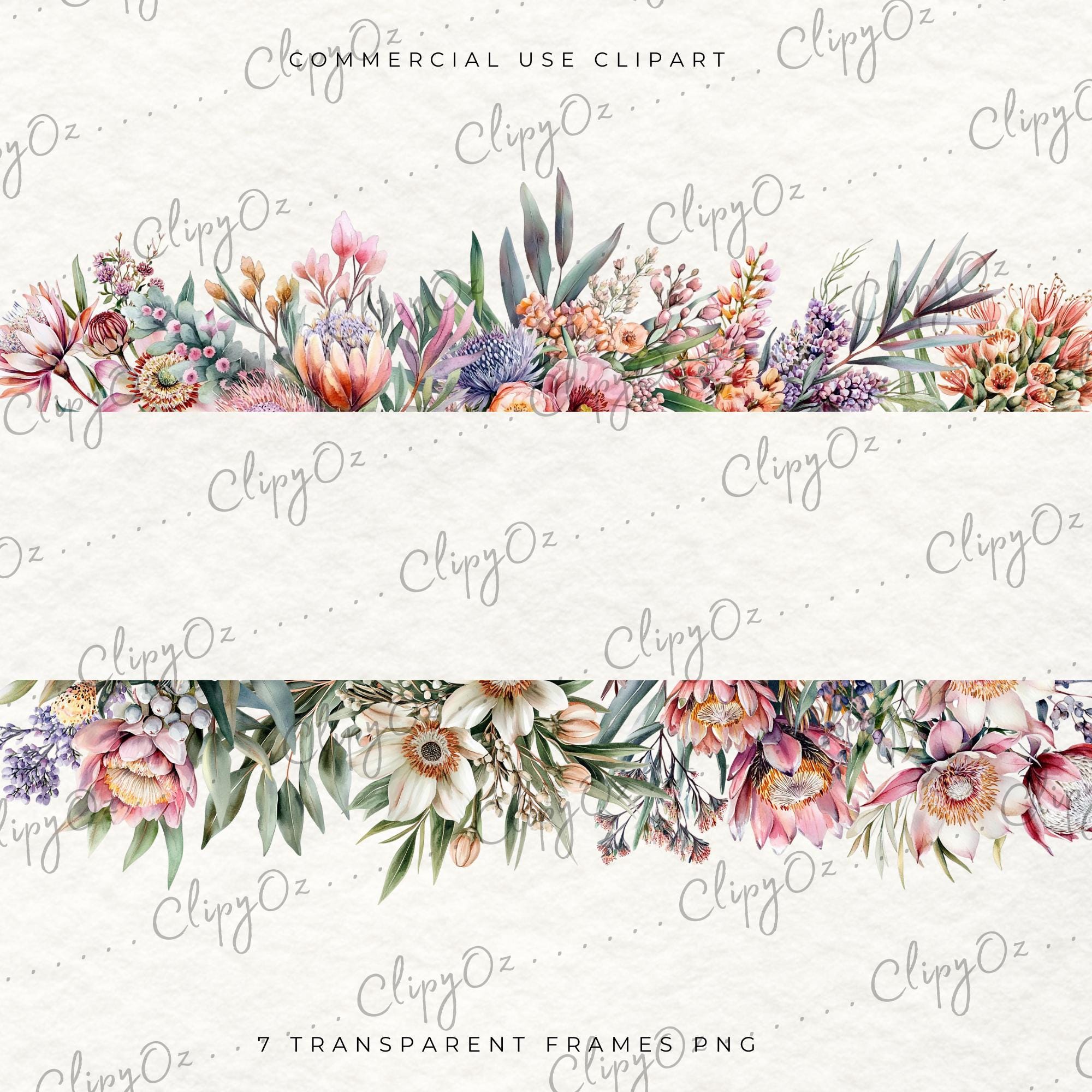 Australian Native Floral Frames and Borders: Wedding Invitation Clipart ...
