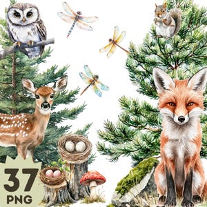 Forêt, clipart animaux de la forêt, clipart aquarelle, PNG transparents, clipart chambre d'enfant, renard, castor, cerf, hérisson, champignon, libellule