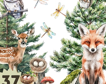 Watercolor Woodland Animals Clipart: Forest Nursery PNGs (Digital Download)