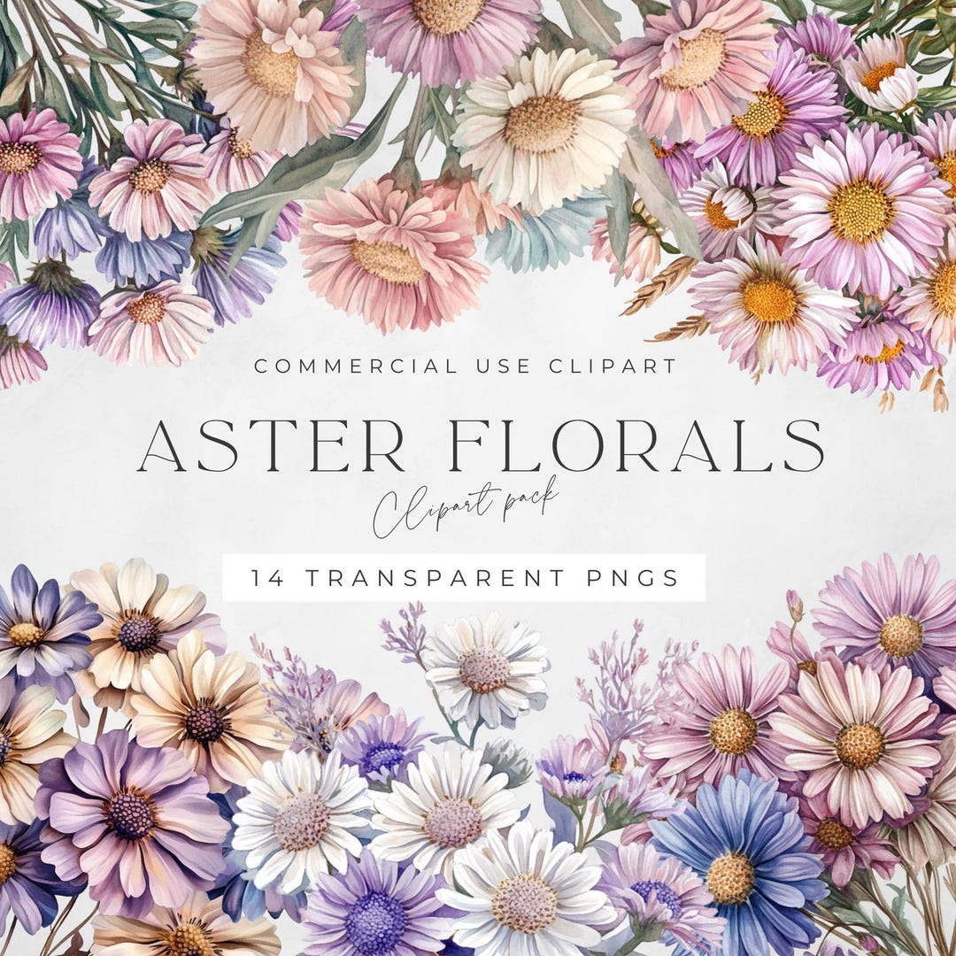 Watercolor Aster Floral Clipart: Transparent PNG Graphics (digital ...