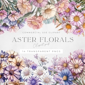 Aster Floral Clipart PNG, Flores de crisantemo, Clipart floral, PNG transparente