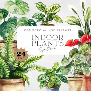 Planta de interior Clipart Aquarela, Plantas de casa em vasos, Verdura, Monstera, Samambaia, Lírio da paz, Antúrio, Planta de cobra, Ficus