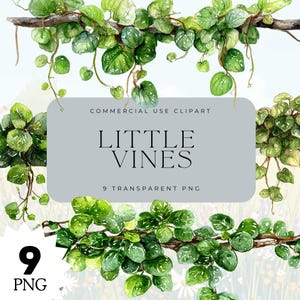 Watercolor Hanging Vine Clipart, Greenery Botanical Branches, PNG Transparent Background, Nature Leaves Clipart, Green Borders