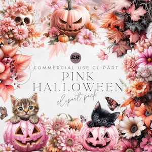 Fleurs roses d'Halloween | PNG transparents | Fleurs roses de citrouille des cliparts | Clipart chat