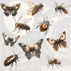 31 PNG Steam-powered Insects Clipart Pack, Bugs and Wings, Tick, Ant ...