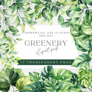 Watercolor Greenery Clipart: 17 Leaf PNG Botanical Illustrations (Digital Download)