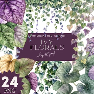 Lierre floral 24 PNG + JPEG | Aquarelle de feuilles de lierre, violet, vert, botanique clipart, verdure PNG, feuilles vertes, bouquets, cadres, éléments