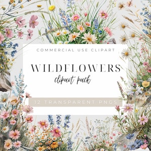 Clipart de parterre de fleurs sauvages, fleurs sauvages sur un rocher, clipart floral aquarelle, éléments floraux sauvages, fleurs sauvages d'été, fleurs sauvages des prés