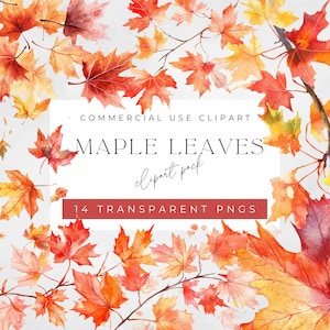 Aquarel esdoornblad clipart, herfstgraphics, digitale oranje illustraties, bladeren, esdoorngrafiek