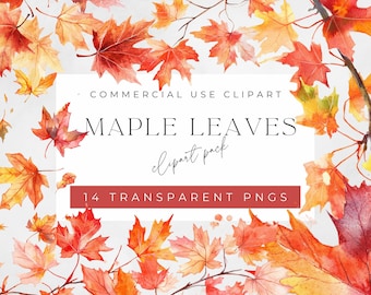 Watercolor Maple Leaf Clipart, Autumn Graphics, Digital Orange Illustrations, Leaves, Maple graph