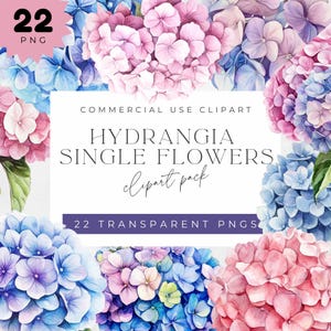 Blue Hydrangea Watercolor Single flowers, Transparent PNG, Blue flowers clipart, Pink flowers, Weeding flowers greenery