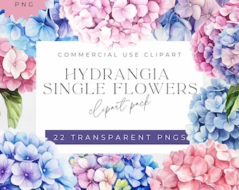 Blue Hydrangea Watercolor Clipart: Single Flowers, Transparent PNG (Digital Download)