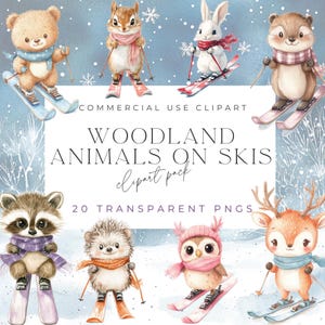 Cuties sugli sci / Animali del bosco sugli sci / PNG trasparente / Clipart animali funky / Clipart invernali / Animali che sciano / Clipart sport invernali