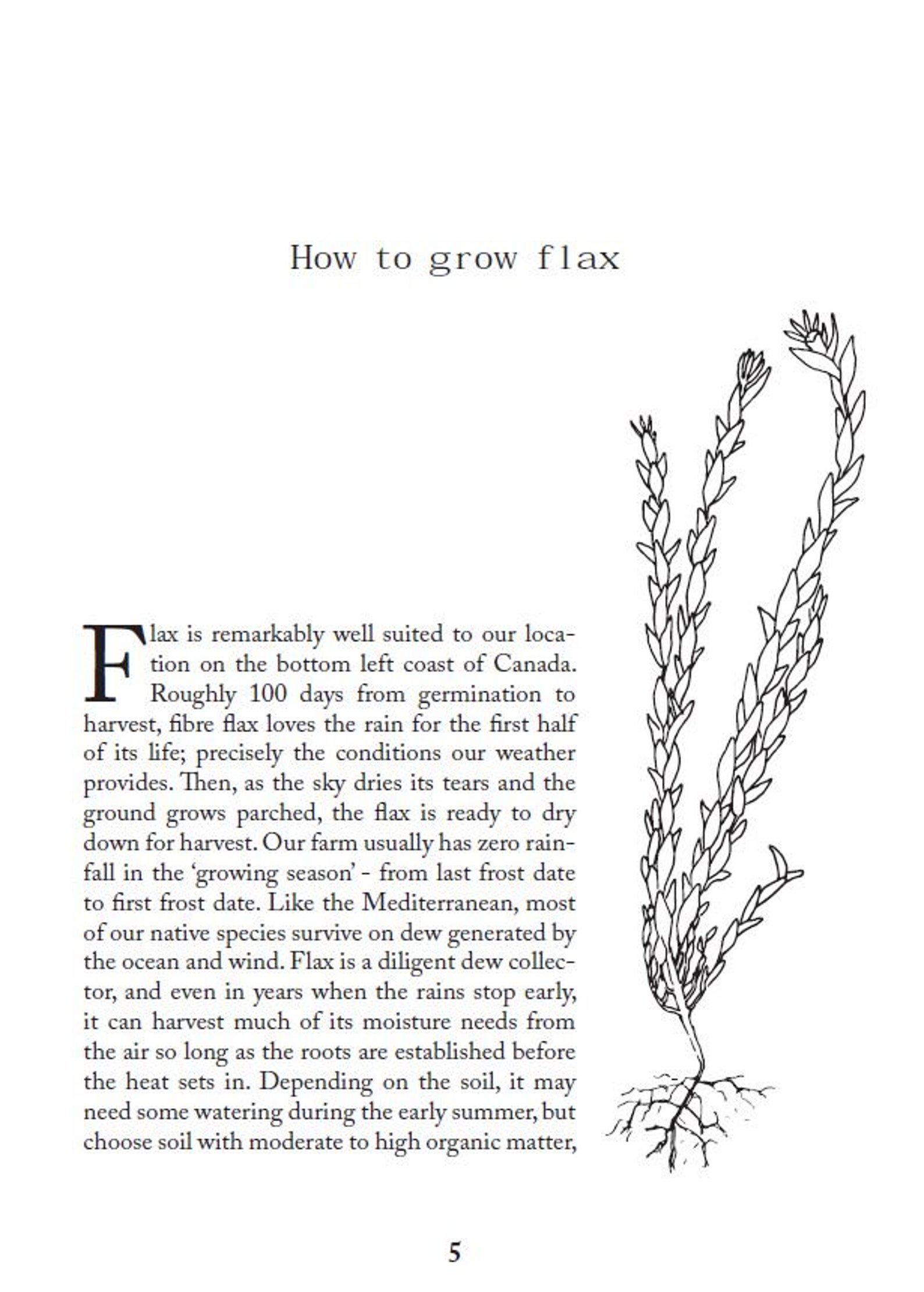 Homegrown Linen Transforming Flaxseed Into Fibre by Raven Etsy