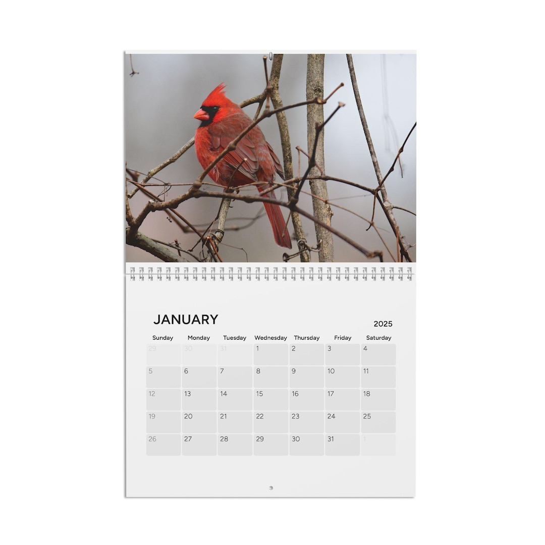 Bird Calendar 2025, Wildlife Wall Art, Birdwatching Gift, Nature Lover