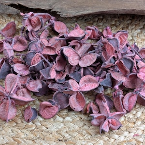 Könnte beinhalten: Ein Haufen getrockneter, rosa Potpourri-Blüten mit dunkelvioletten Rändern, angeordnet auf einer gewebten, beigefarbenen Oberfläche. Die getrockneten Blüten haben eine sternartige Form und sind zusammengefasst. Ein Stück dunkles Holz befindet sich im Hintergrund.