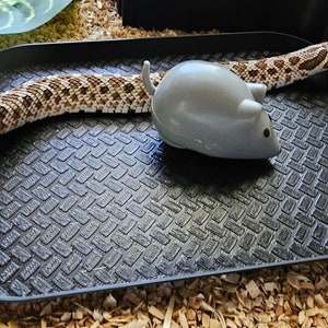 Può includere: Un serpente marrone chiaro con un motivo è avvolto su un vassoio nero testurizzato. Un topo giocattolo grigio è accanto al serpente.