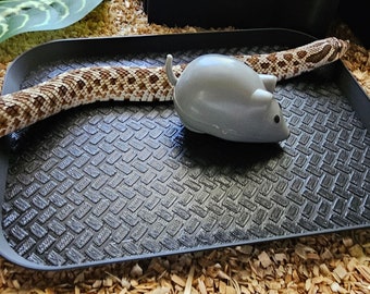 3D Gedruckter Schlangen Futterteller. Futterschüssel für Reptilien. Cafeteria Tablett zum Füttern von Spitzschwanzschlangen, Königspythen und anderen Schlangen.