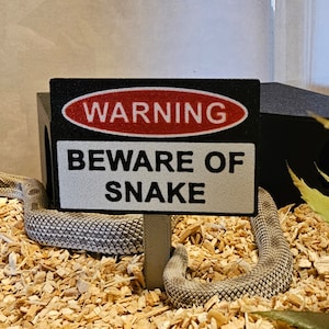 Puede incluir: Una serpiente en un terrario con virutas de madera. Un letrero en blanco y negro dice "¡CUIDADO CON LA SERPIENTE!" con un símbolo de advertencia rojo. La serpiente es de color marrón claro y gris con piel estampada.
