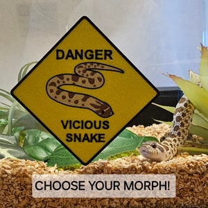 May include: A yellow warning sign with the text "DANGER VICIOUS SNAKE" and a brown and white snake illustration. A brown and white snake is in a glass terrarium with green plants. The text "CHOOSE YOUR MORPH!" is at the bottom of the image.