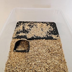 Può includere: Un nascondiglio in plastica nera con una piattaforma in plastica nera in un contenitore di plastica trasparente pieno di trucioli di legno.