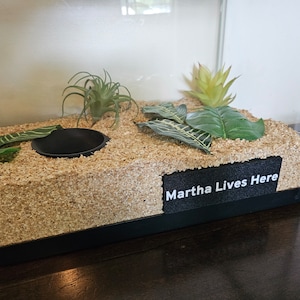 Peut inclure: Un terrarium avec une base noire, rempli de copeaux de bois et décoré de fausses plantes. Un plat noir est au centre. Un panneau noir avec le texte "Martha Lives Here" est à l'avant.