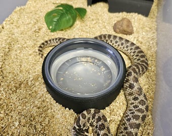 Modularer Wasserschalenhalter für VE-108-11, VE-108-23 Wannen. Hognose, Colubrid, kleine Schlangen und Geckos. 8 Unzen Wasser / Essensschale VE-6 Rack